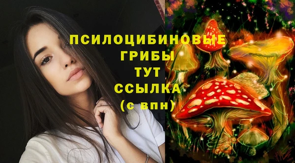 мескалин Алексеевка